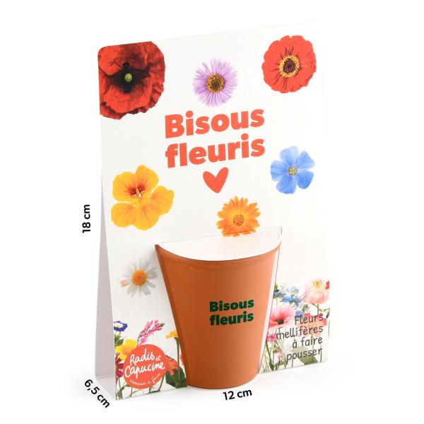 Radis et Capucine - Kit jardinage - Fleurs Mellifères - Bisous Fleuris - face recto